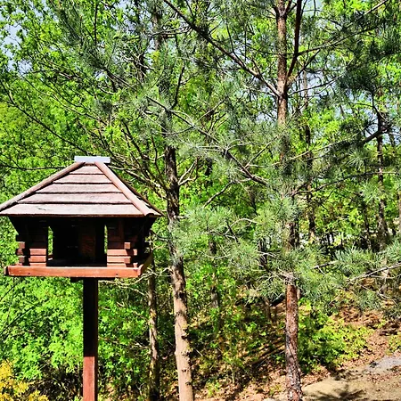 Dom wakacyjny Chic In Durbuy With Sauna Vesin